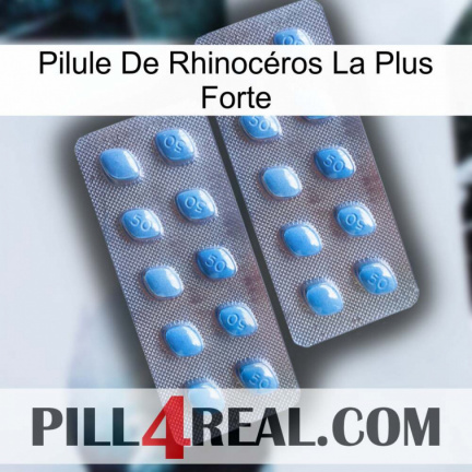 Pilule De Rhinocéros La Plus Forte viagra4